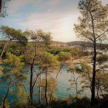 Les Pieds Tanques - Chambres D'Hotes - Calanque A Pieds Saint-Cyr-sur-Mer Luaran gambar