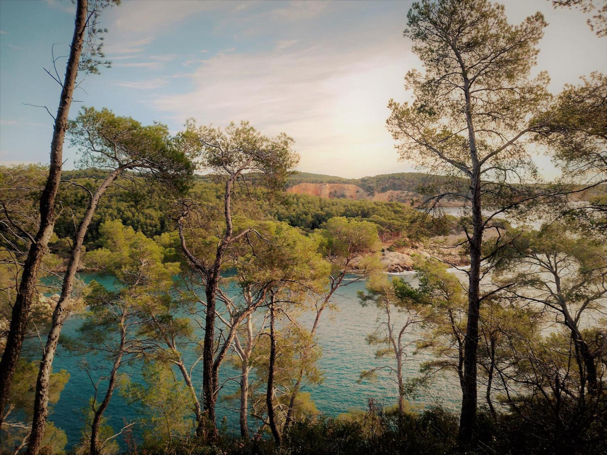 Les Pieds Tanques - Chambres D'Hotes - Calanque A Pieds Saint-Cyr-sur-Mer Luaran gambar