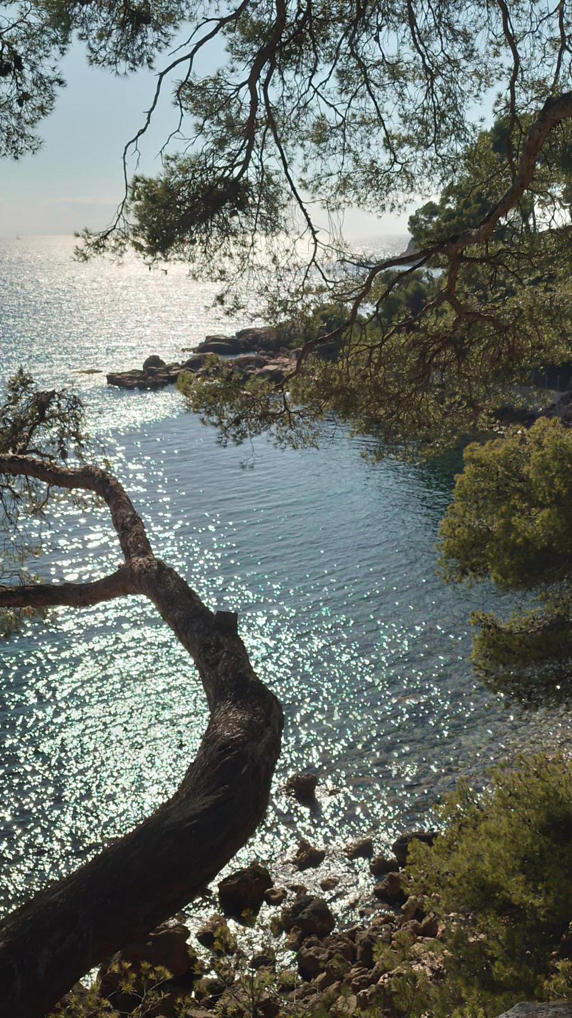 Les Pieds Tanques - Chambres D'Hotes - Calanque A Pieds Saint-Cyr-sur-Mer Luaran gambar